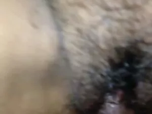 سینه بزرگ بزرگ خروس  ...