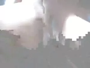 صحنه شاخ رشما عکس مت ...