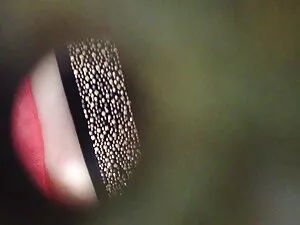 آه تنگ دو گربه در گر ...