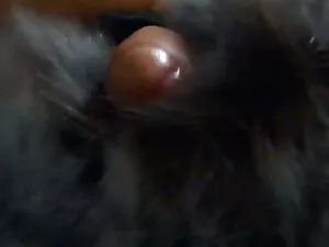 صورت عکس متحرک سیکسی ...