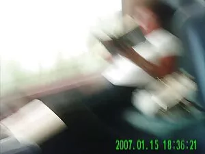 3 گربه لب به لب پرست ...